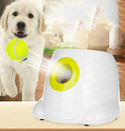 Paw & Pause Auto Ball Launcher — Hands-Free Fetch Machine for Dogs