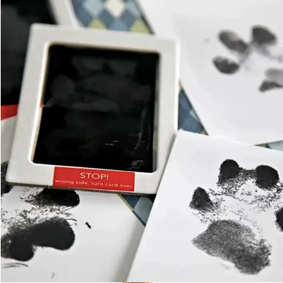 Paw & Pause Paw & Nose Inkless Print Kit — Clean, No-Mess Pet Keepsake for Dogs & Cats