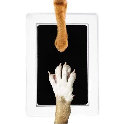 Paw & Pause Paw & Nose Inkless Print Kit — Clean, No-Mess Pet Keepsake for Dogs & Cats