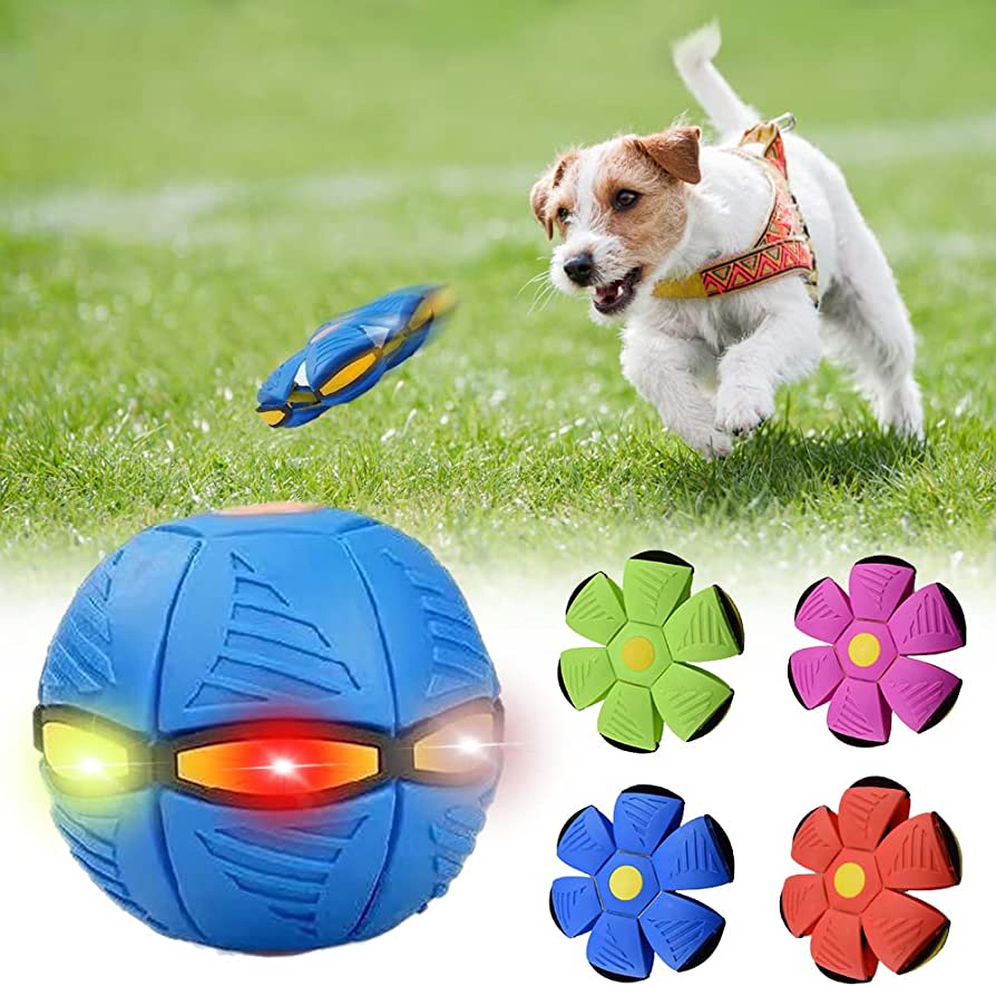 Paw & Pause Rubber Dog Frisbee — Durable Outdoor Fetch Disc