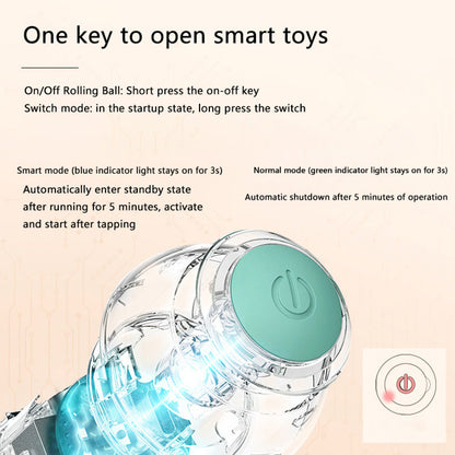 Paw & Pause Self-Moving Cat/Dog Ball — USB Rechargeable Interactive Toy