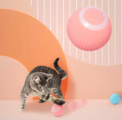 Paw & Pause Self-Moving Cat/Dog Ball — USB Rechargeable Interactive Toy