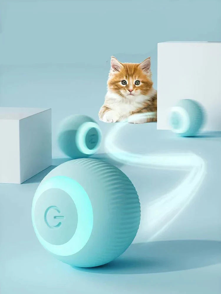Paw & Pause Self-Moving Cat/Dog Ball — USB Rechargeable Interactive Toy