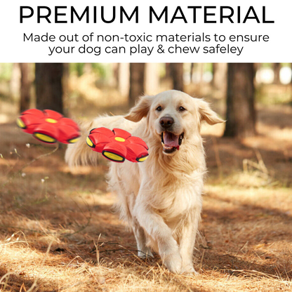 Paw & Pause Rubber Dog Frisbee — Durable Outdoor Fetch Disc
