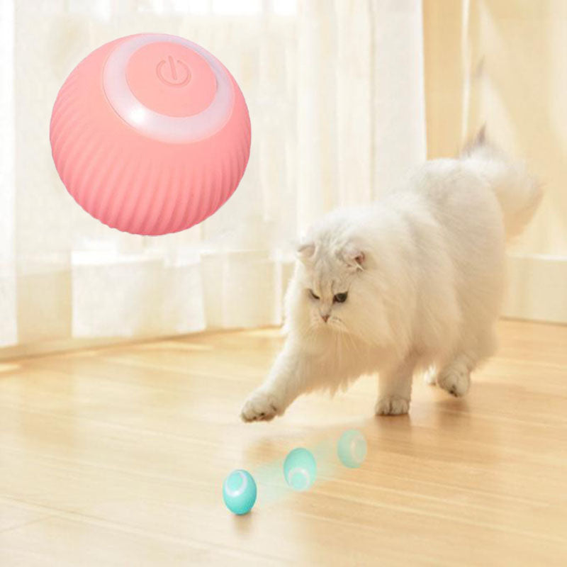 Paw & Pause Self-Moving Cat/Dog Ball — USB Rechargeable Interactive Toy
