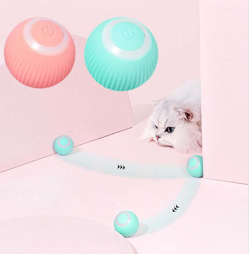 Paw & Pause Self-Moving Cat/Dog Ball — USB Rechargeable Interactive Toy